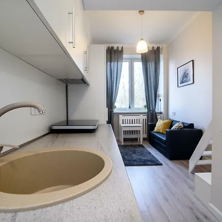 公寓 Modern Loft Centrally Located 维尔纽斯