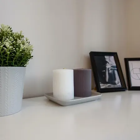 Modern Loft Centrally Located 维尔纽斯