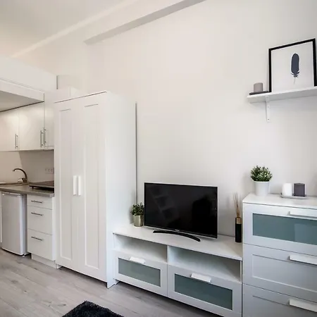 Modern Loft Centrally Located 公寓 维尔纽斯